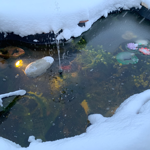 Computer Service «Perfection Tool & PC Repair Inc», reviews and photos, 16399 S Golden Rd b, Golden, CO 80401, USA