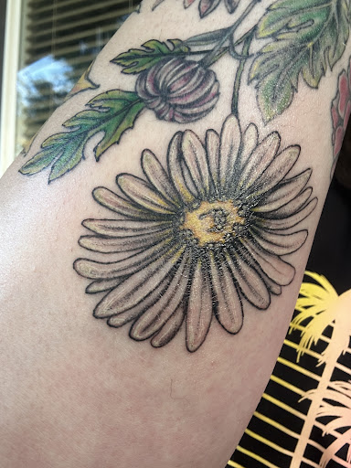 Explore north carolina tattoo ideas, creative tattoo ideas in El Cajon, available at Bird Tattoos SD