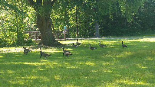 Park «Bronx River Park», reviews and photos, 2 Bronx River Pkwy, Scarsdale, NY 10583, USA