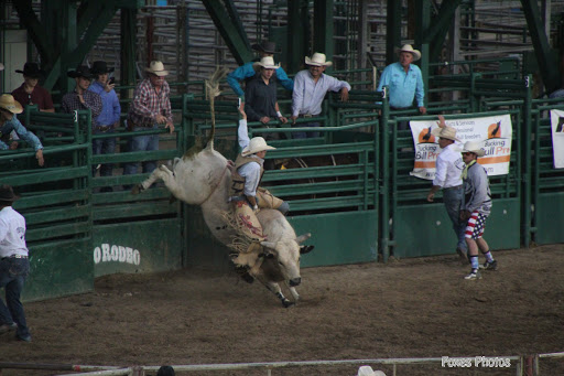 Event Venue «Reno-Sparks Livestock Events Center», reviews and photos, 1350 N Wells Ave, Reno, NV 89512, USA