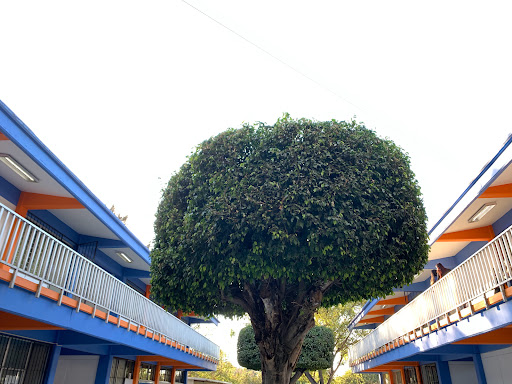 UPN Universidad Pedagógica Nacional, Unidad 142 Tlaquepaque