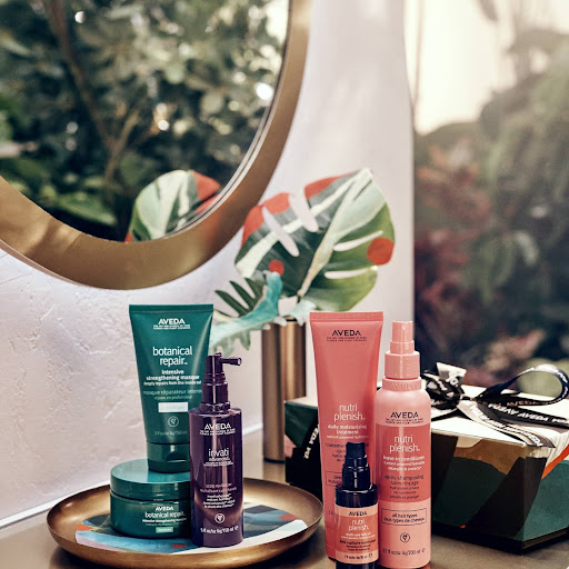 Beauty Salon «Face the Day Spa & Salon», reviews and photos, 917 E Silver Springs Blvd, Ocala, FL 34470, USA