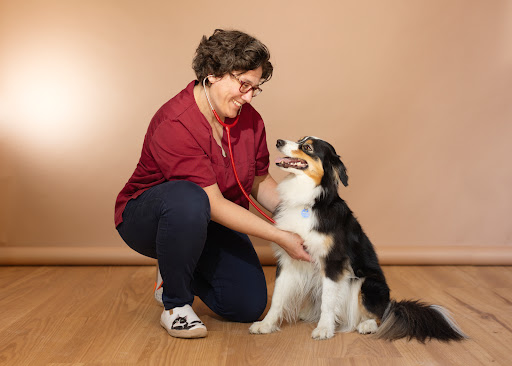 Tierarztpraxis Dr. Diana Ruf unter Bichl, Bayern