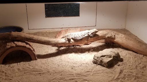 Zoo «Luray Zoo A Rescue Zoo», reviews and photos, 1087 U.S. 211, Luray, VA 22835, USA