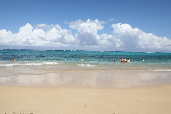 Pearly beach