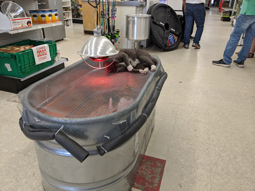 Hardware Store «Mandeville Ace Hardware & Supplies», reviews and photos, 2445 Florida St, Mandeville, LA 70448, USA