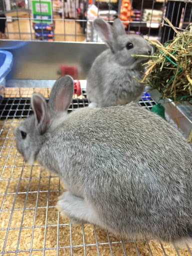 Garden Center «Animals and Gardens Unlimited», reviews and photos, 14 Jacobstown Rd, New Egypt, NJ 08533, USA