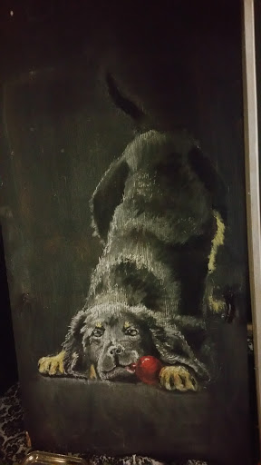 Pet Groomer «Ufuri Pet Salon», reviews and photos, 235 Huron Ave, Port Huron, MI 48060, USA