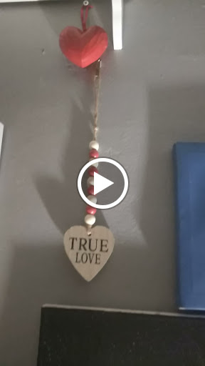 Dollar Store «Dollar Tree», reviews and photos, 1100 Chester Pike, Sharon Hill, PA 19079, USA