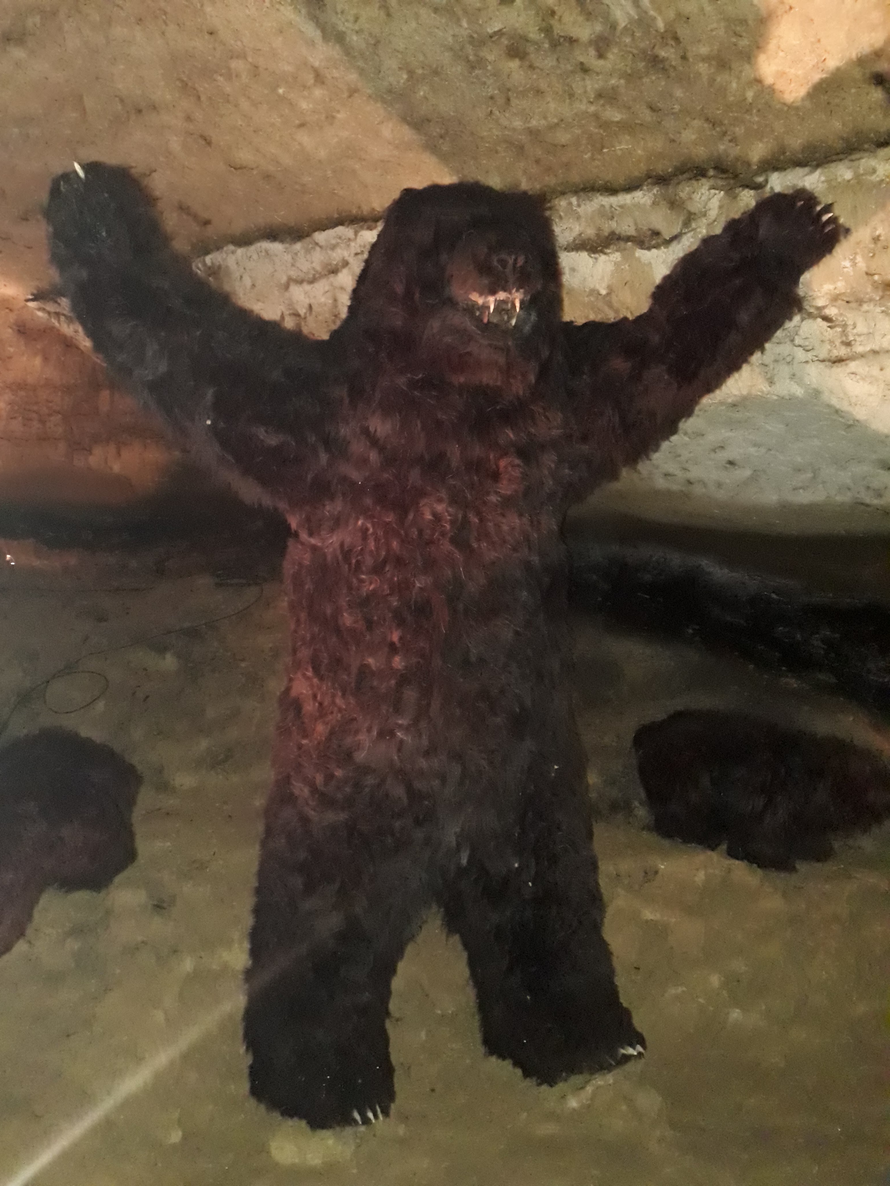 Photo n° 1 de l'avis de Olivier.e fait le 22/04/2018 à 09:12