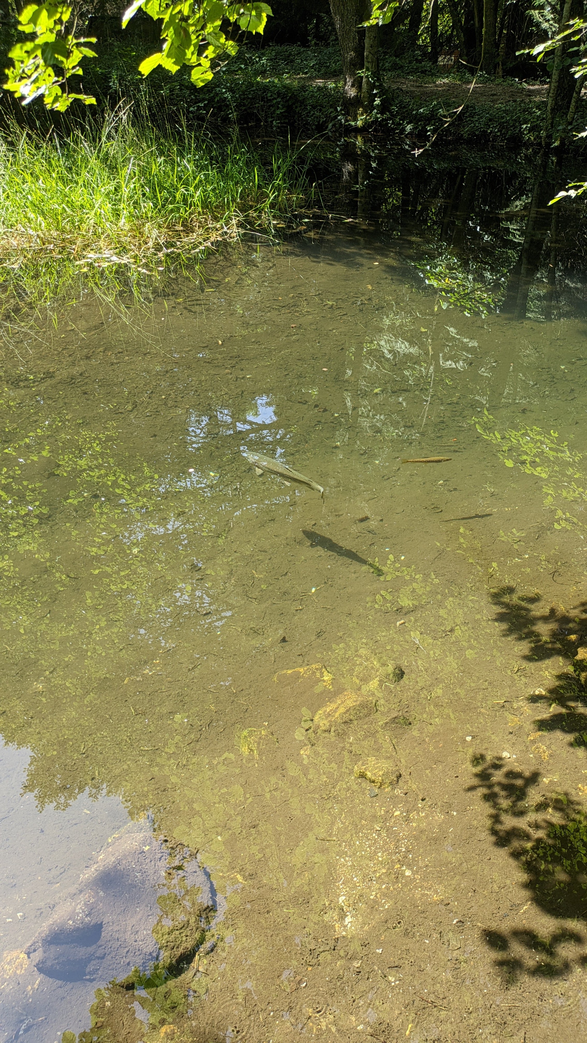 Photo n° 18 de l'avis de Dada.e fait le 15/08/2023 à 12:32