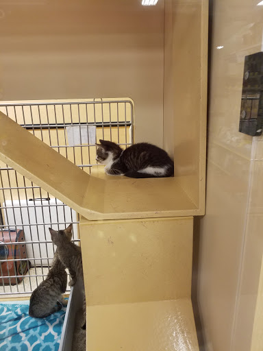 Pet Supply Store «PetSmart», reviews and photos, 6622 Charlotte Pike Suite 108, Nashville, TN 37209, USA