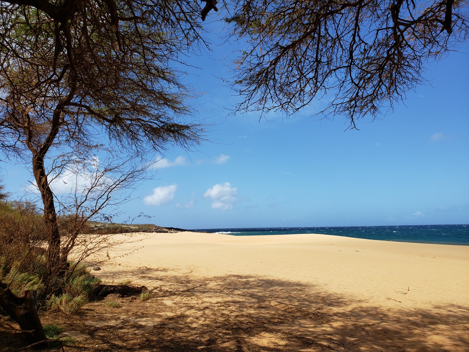 Foto von Polihua Beach mit langer gerader strand