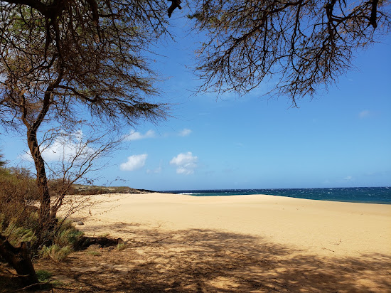 Polihua Beach