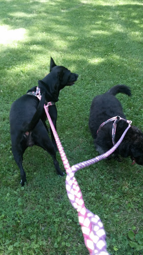 Golf Course «Forest Park Golf Course», reviews and photos, 2900 Hillsdale Rd, Baltimore, MD 21207, USA