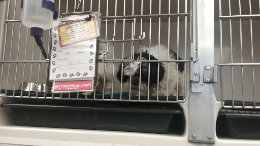 Pet Store «Just Puppies Inc», reviews and photos, 1028 York Rd, Towson, MD 21204, USA