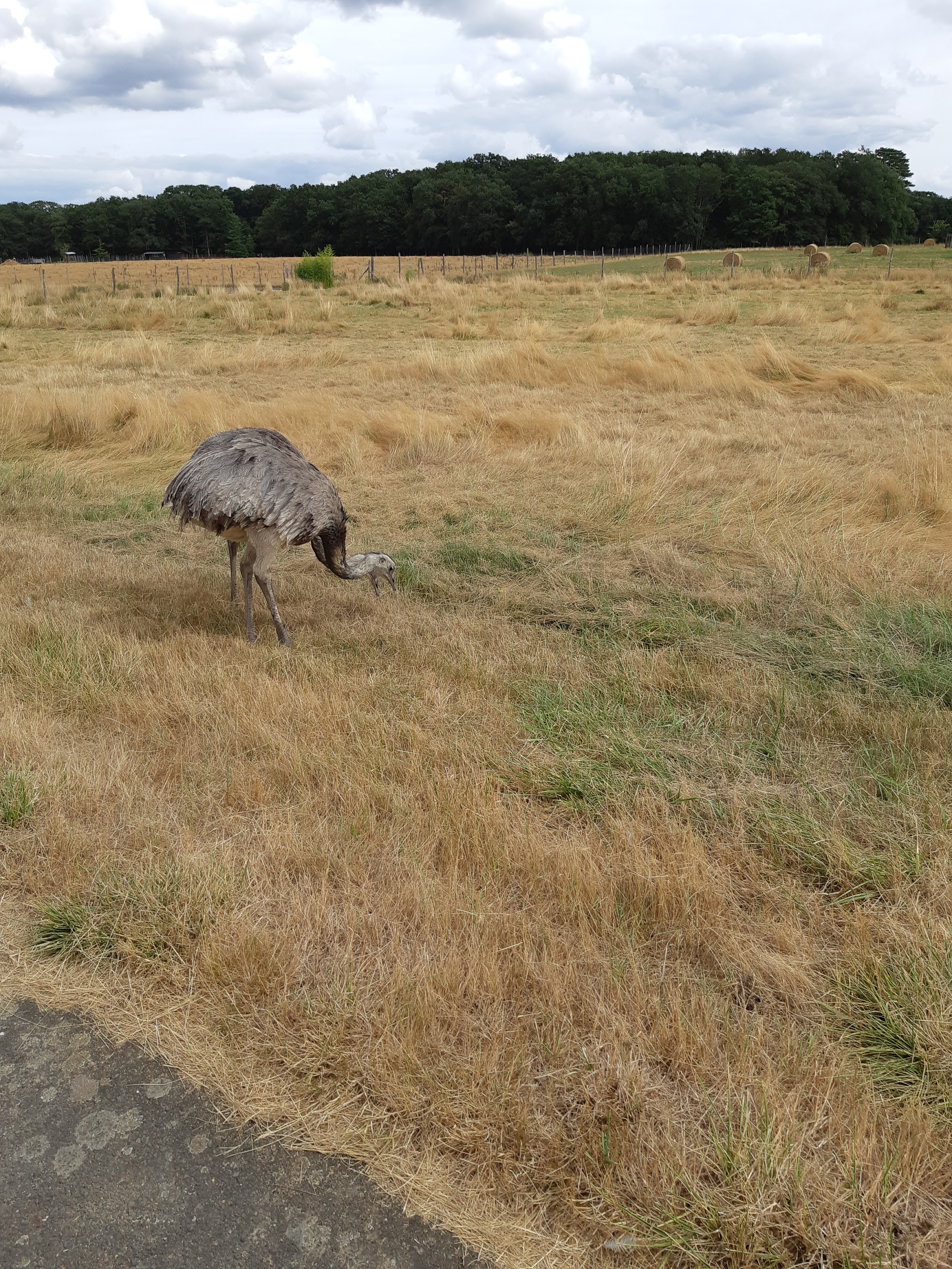 Photo n° 27 de l'avis de Carla.a fait le 10/08/2018 à 15:54