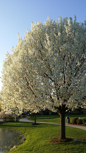 Park «St Clair Shores Park», reviews and photos, 20000 Stephens, St Clair Shores, MI 48080, USA