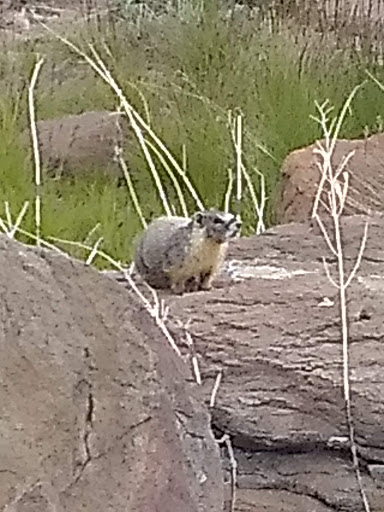 Country Club «The Club at ArrowCreek», reviews and photos, 2905 Arrowcreek Pkwy, Reno, NV 89511, USA