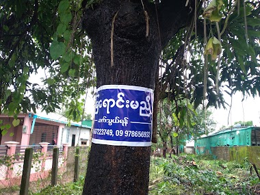 Golden Triangle Guest House