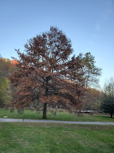 Park «Leakin Park», reviews and photos, 4921 Windsor Mill Rd, Gwynn Oak, MD 21207, USA