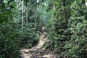 Hutan Lipur Gunung Angsi image