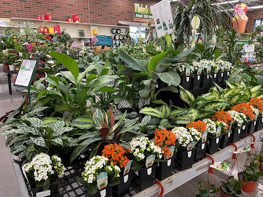 Hardware Store «Dale Hardware Inc», reviews and photos, 3700 Thornton Ave, Fremont, CA 94536, USA