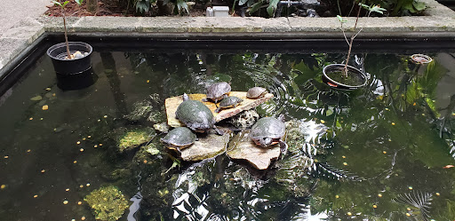 Department Store «Saks Fifth Avenue», reviews and photos, 9700 Collins Ave, Bal Harbour, FL 33154, USA