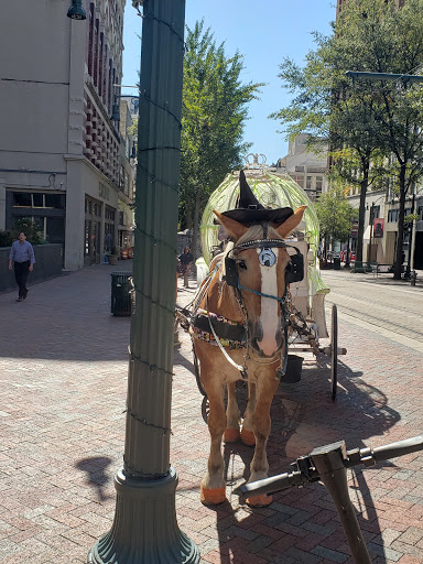 Nut Store «Peanut Shoppe Main Street», reviews and photos, 24 S Main St, Memphis, TN 38103, USA
