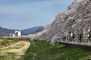 Mamigasaki Sakura line image