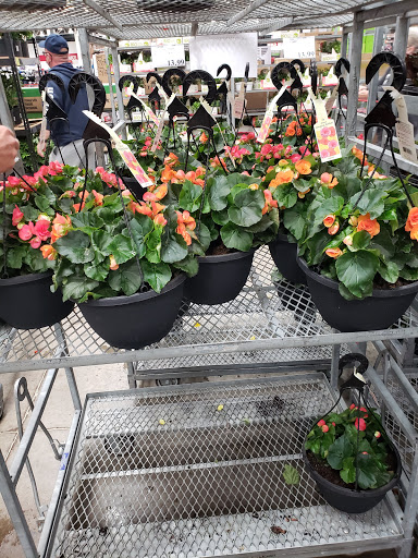 Warehouse store «Costco Wholesale», reviews and photos, 125 Beacon Dr, Holbrook, NY 11741, USA