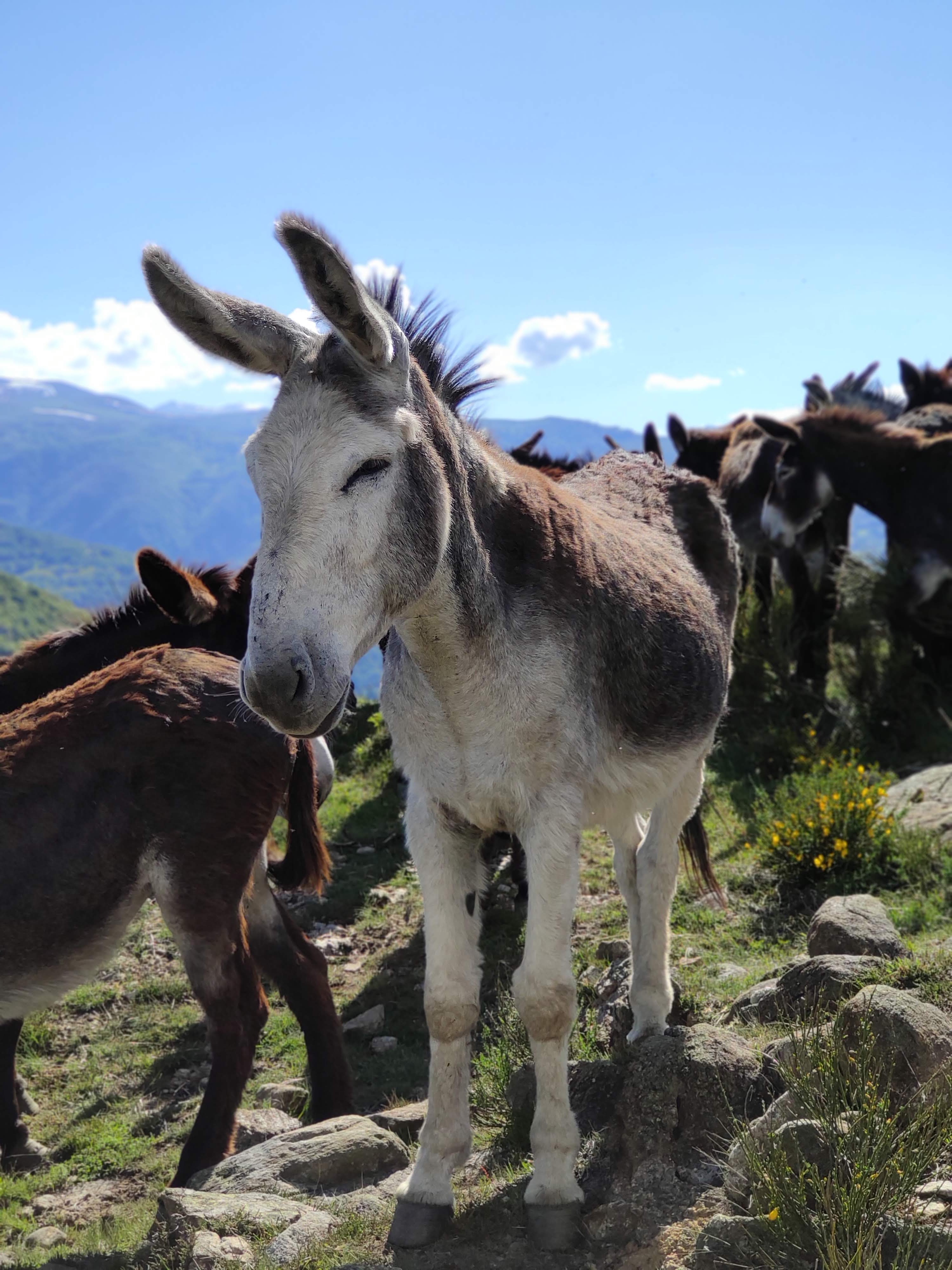 Photo n° 12 de l'avis de Florian.o fait le 04/06/2019 à 10:25