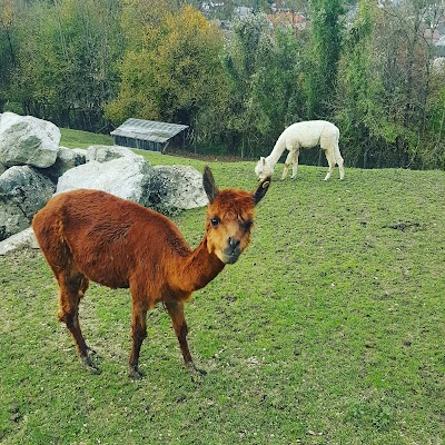 Photos of Nature and Adventure Park Buchenberg