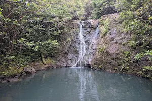 Lāʻie Falls Trail image