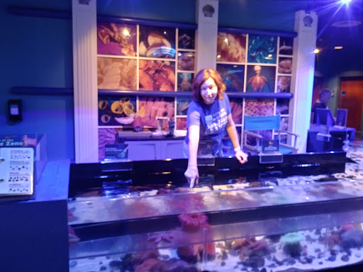 Aquarium «The Florida Aquarium», reviews and photos, 701 Channelside Dr, Tampa, FL 33602, USA