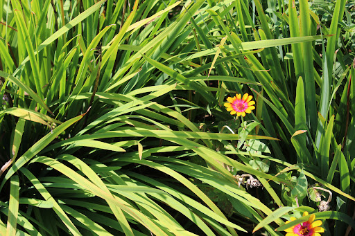 Museum «Nemours Estate», reviews and photos, 850 Alapocas Dr, Wilmington, DE 19803, USA