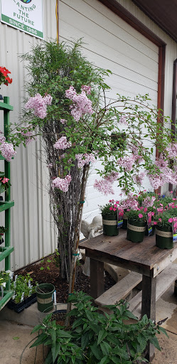 Garden Center «Holscher & Hackman Garden Center», reviews and photos, 6088 Harrison Ave, Cincinnati, OH 45247, USA