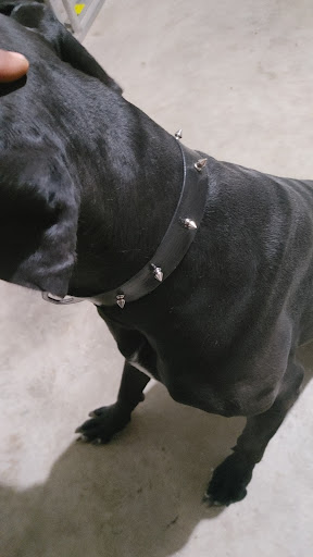 Pawn Shop «Money Mart Pawn & Jewelry», reviews and photos, 4500 FM 1960, Humble, TX 77346, USA