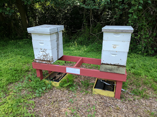 History Museum «Benjamin Banneker Historical», reviews and photos, 300 Oella Ave, Catonsville, MD 21228, USA