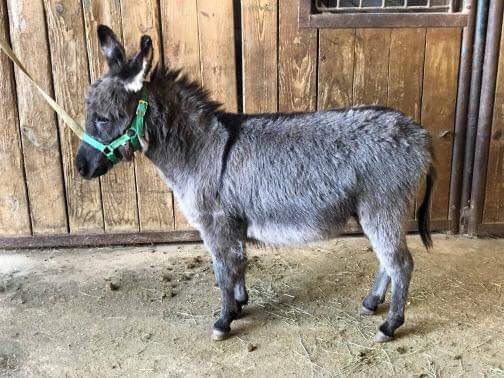 Thrift Store «Clay County Habitat For Humanity», reviews and photos