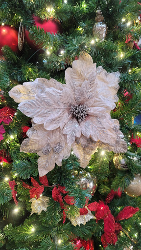 Golf Course «Tranquilo Golf Club at Four Seasons Resort Orlando», reviews and photos, 3451 Golf View Dr, Lake Buena Vista, FL 32830, USA