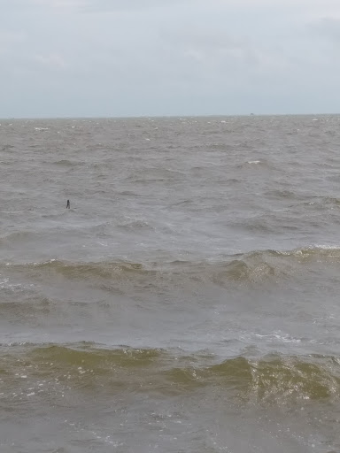 Gift Shop «Sea Shell Shoppe», reviews and photos, 120 N Austin St, Rockport, TX 78382, USA