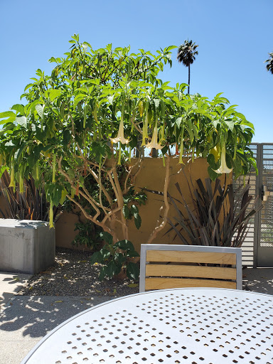 Hilton Garden Inn Santa BarbaraGoleta image