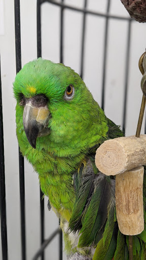 Tropical Fish Store «Midway Tropical Fish & Pets», reviews and photos, 24101 Pacific Hwy S, Kent, WA 98032, USA