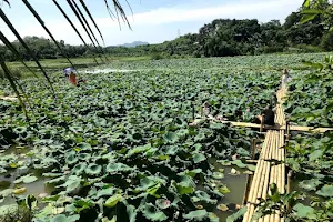 Hồ Sen An Khang image