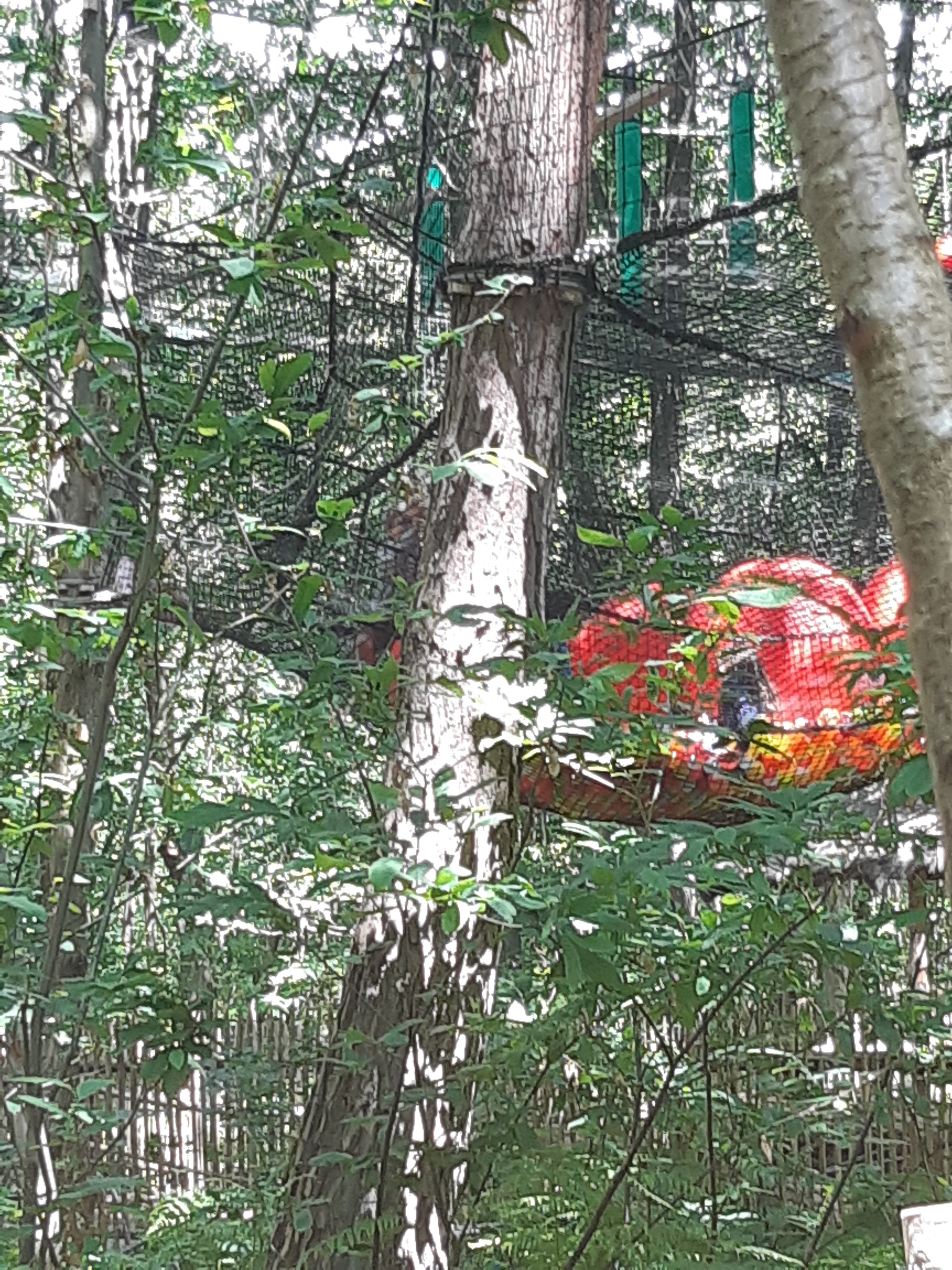 Photo n° 1 de l'avis de Armelle.a fait le 16/06/2019 à 16:10