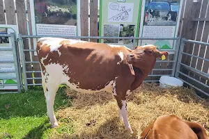 IOM Southern District Agricultural Show image