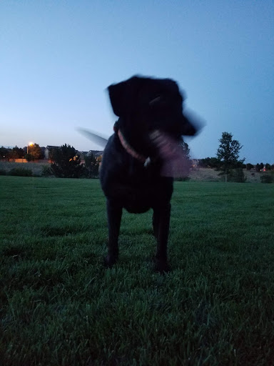 Park «Sage Creek Park», reviews and photos, 9500 Civic Center Dr, Thornton, CO 80229, USA