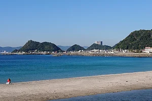 Shirosaki beach image