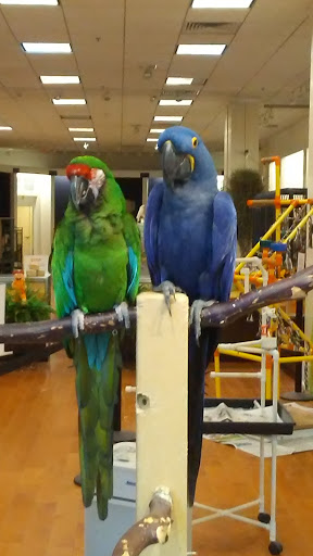 Shopping Mall «North Hanover Mall», reviews and photos, 1155 Carlisle St, Hanover, PA 17331, USA